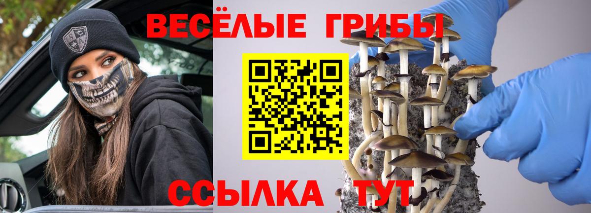 Галлюциногенные грибы Cubensis  Вход с VPN  Минусинск  Псилоцибиновые грибы MAGIC MUSHROOMS 